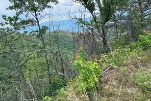 88 Acres Bolden Branch, Andrews, NC 28901 - Photo 1