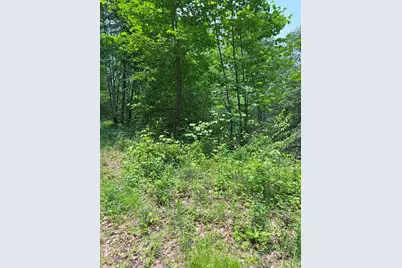 88 Acres Bolden Branch, Andrews, NC 28901 - Photo 15