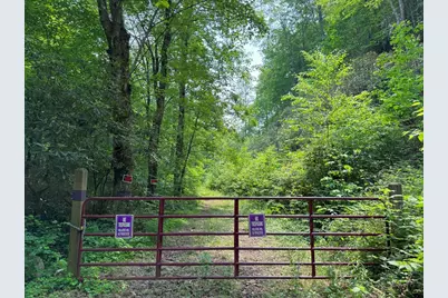 88 Acres Bolden Branch, Andrews, NC 28901 - Photo 5