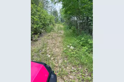 88 Acres Bolden Branch, Andrews, NC 28901 - Photo 21