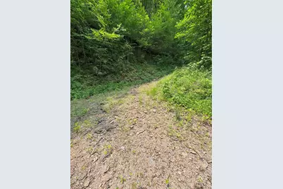 88 Acres Bolden Branch, Andrews, NC 28901 - Photo 13