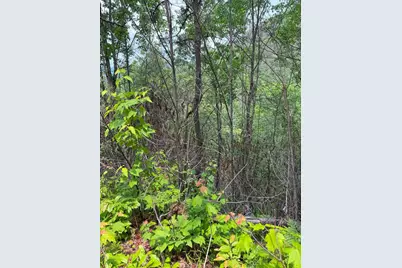 88 Acres Bolden Branch, Andrews, NC 28901 - Photo 27