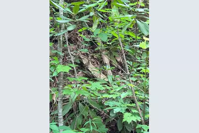 88 Acres Bolden Branch, Andrews, NC 28901 - Photo 31
