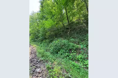 88 Acres Bolden Branch, Andrews, NC 28901 - Photo 11