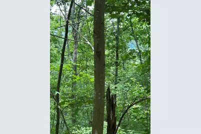 0 Ten Pointe Trail, Murphy, NC 28906 - Photo 1