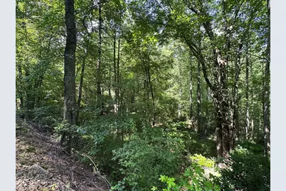00 Choctaw Ridge Trail, Murphy, NC 28906 - Photo 11
