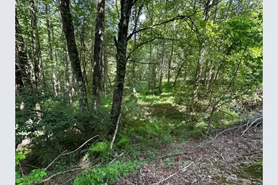 00 Choctaw Ridge Trail, Murphy, NC 28906 - Photo 1