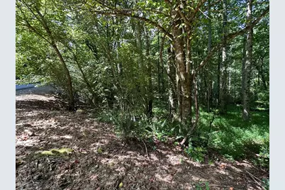 00 Choctaw Ridge Trail, Murphy, NC 28906 - Photo 9