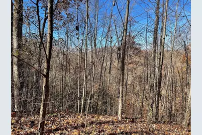 Lot 49J Indian Trail, Hayesville, NC 28904 - Photo 1
