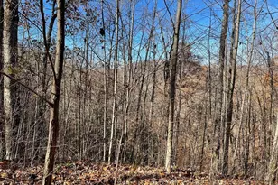 Lot 49J Indian Trail, Hayesville, NC 28904 - Photo 1