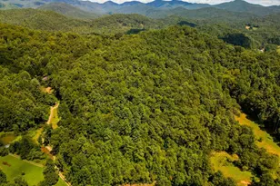 Tbd Pet Ln, Murphy, NC 28906 - Photo 1