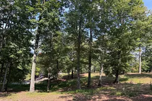123 Madison Ln, Murphy, NC 28906 - Photo 1