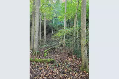 0 Lords Way, Andrews, NC 28901 - Photo 1