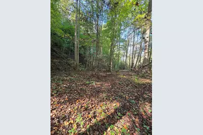 0 Lords Way, Andrews, NC 28901 - Photo 5