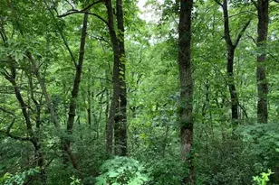 Lot 50 A Eagles View, Hayesville, NC 28904 - Photo 1