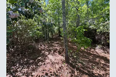79 Forrest Edge Drive, Murphy, NC 28906 - Photo 5