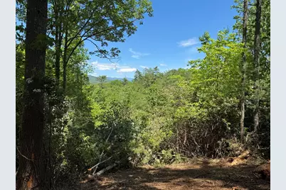79 Forrest Edge Drive, Murphy, NC 28906 - Photo 3