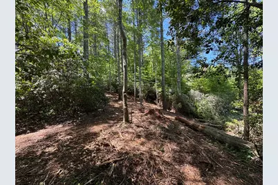79 Forrest Edge Drive, Murphy, NC 28906 - Photo 9