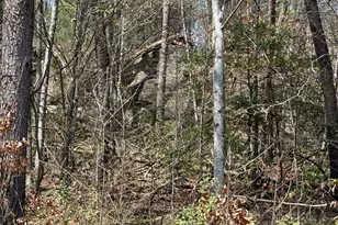 0 Morrow Rd, Murphy, NC 28906 - Photo 1