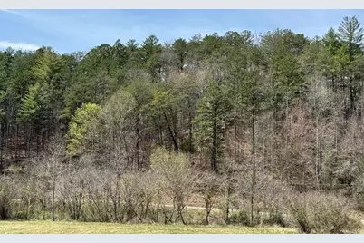 0 Morrow Road, Murphy, NC 28906 - Photo 3