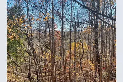 Lot 41C Ash Branch Circle, Hayesville, NC 28904 - Photo 1