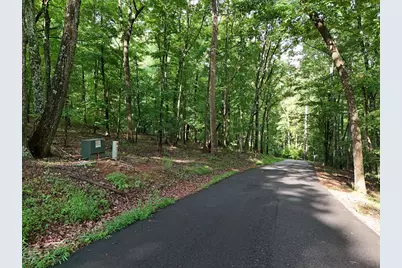 Lot 100 Valley Crest Drive, Blairsville, GA 30512 - Photo 3