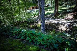 1620 E Buffalo Rd, Robbinsville, NC 28771 - Photo 37