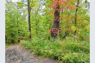 Lot 23 Skyview, Hayesville, NC 28904 - Photo 1