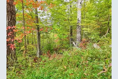 Lot 23 Skyview, Hayesville, NC 28904 - Photo 5