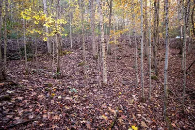 66 Choctaw Ridge Trail, Murphy, NC 28906 - Photo 3