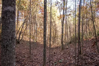 66 Choctaw Ridge Trail, Murphy, NC 28906 - Photo 7