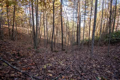 66 Choctaw Ridge Trail, Murphy, NC 28906 - Photo 5