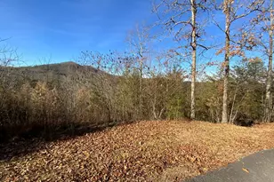 00 Brasstown View, Murphy, NC 28906 - Photo 1