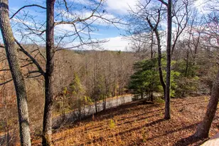 255 Birchwood Cir, Murphy, NC 28906 - Photo 63