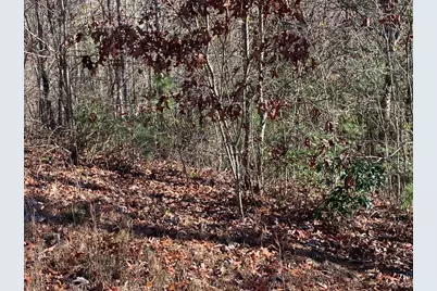 Lot 24 Thimble Loop, Murphy, NC 28906 - Photo 5