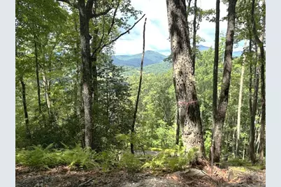 Lot 19 Buckhead, Hiawassee, GA 30546 - Photo 9