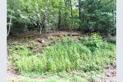 Lot 19 Buckhead, Hiawassee, GA 30546 - Photo 17
