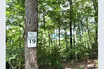 Lot 19 Buckhead, Hiawassee, GA 30546 - Photo 3