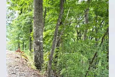 Lot 19 Buckhead, Hiawassee, GA 30546 - Photo 19