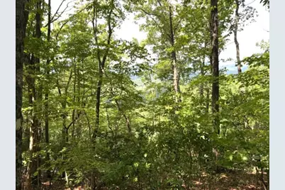 Lot 19 Buckhead, Hiawassee, GA 30546 - Photo 15