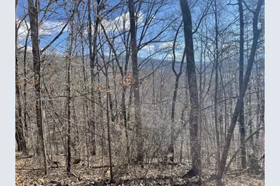 Lot 37C Ash Branch Circle, Hayesville, NC 28904 - Photo 5