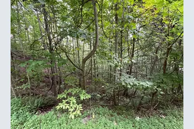 Lot 32J Mountain Harbour, Hayesville, NC 28904 - Photo 7