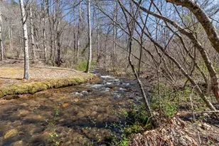 Lots 12+ Tusquittee Crossing, Hayesville, NC 28904 - Photo 1