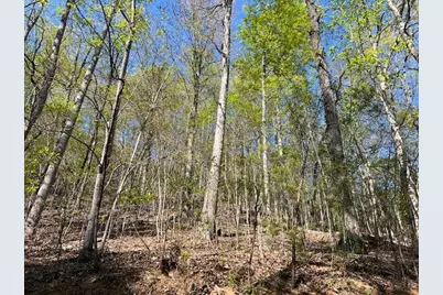 Lot 2B Grandview Drive, Hayesville, NC 28904 - Photo 1