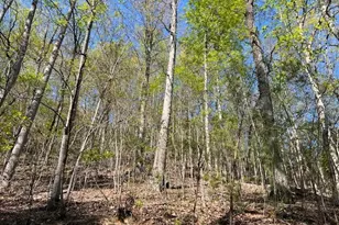 Lot 2B Grandview Dr, Hayesville, NC 28904 - Photo 1
