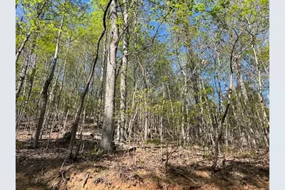 Lot 2B Grandview Drive, Hayesville, NC 28904 - Photo 13