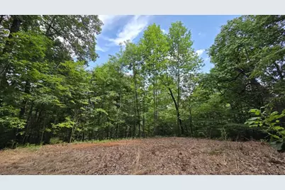 75 Talon Drive, Murphy, NC 28906 - Photo 1