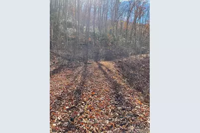 Lots Ash Branch View, Hayesville, NC 28904 - Photo 7