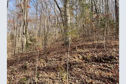 Lots Ash Branch View, Hayesville, NC 28904 - Photo 3