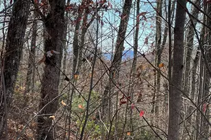 Lots Ash Branch View, Hayesville, NC 28904 - Photo 1